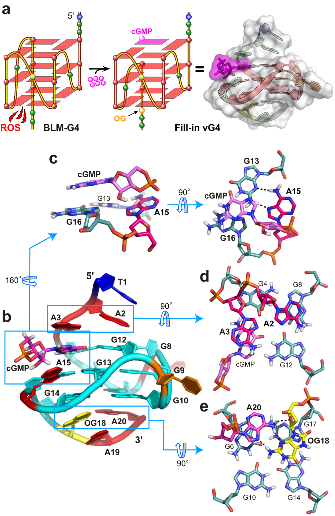 孔令义教授团队在Journal of the American Chemical Society发表最新研究成果