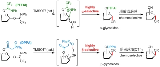 我校药学院李微研究员团队发表关于远程导向基团控制糖苷化立体选择性合成复杂活性糖苷的研究成果